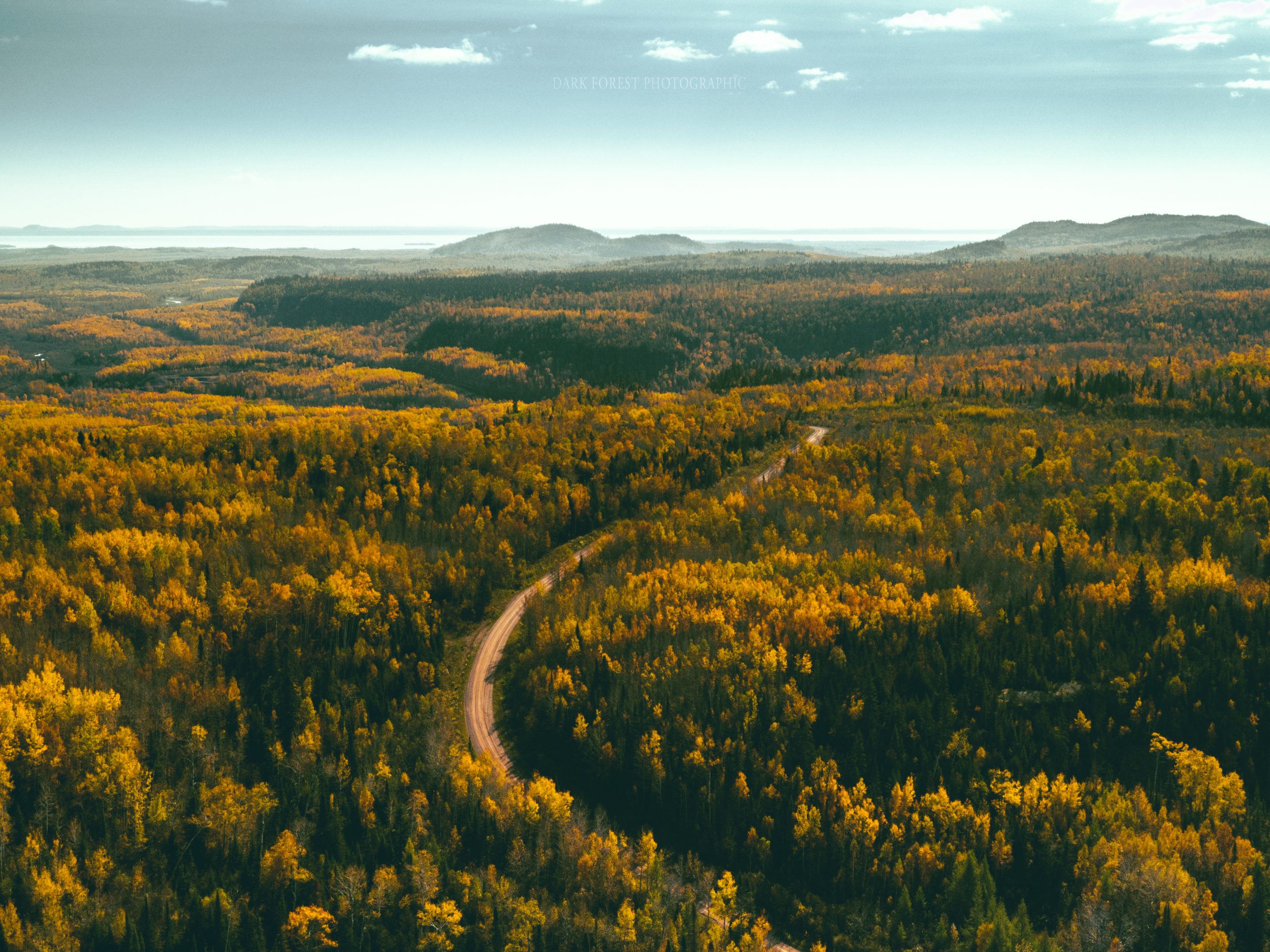 Aerial photo of winding road through dense forest
