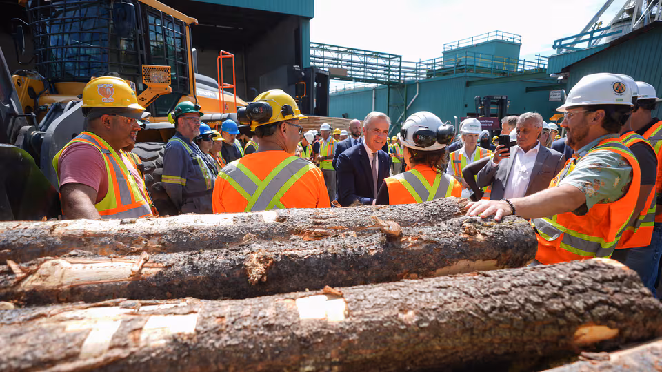 Mark Carney talking to group of forestry workers in high vis